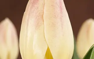 Winterberg / Wинтэрбэрг