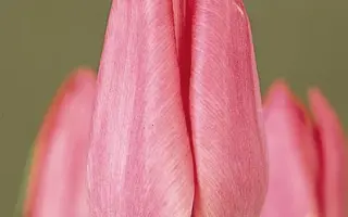 Wonderful / Wондэрфул