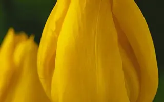 Yokohama / Ьокоhама