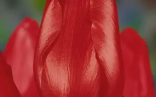 Zantutorp / Зантуторп