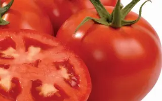 Интерлэнд F1 / Interland F1