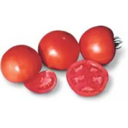 Ленор F1 / Lenor F1