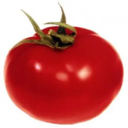 ГС-12 F1 / GS-12 F1