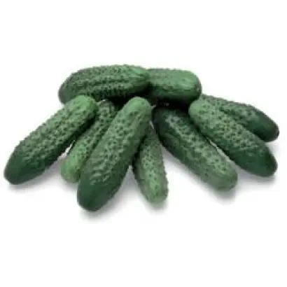 Престо РЦ F1 / Presto RZ F1