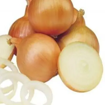 Боско F1 / Bosko F1