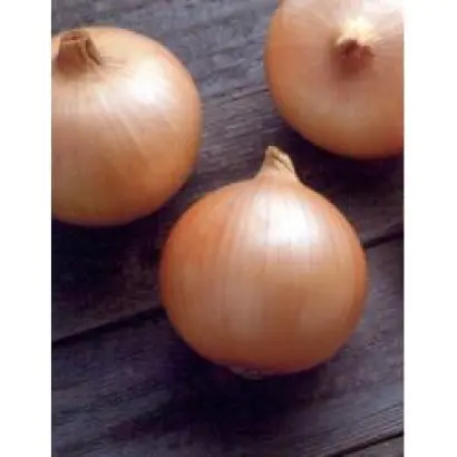 Кэнди F1 / Candy F1