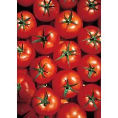 Марфа F1 / Marfa F1