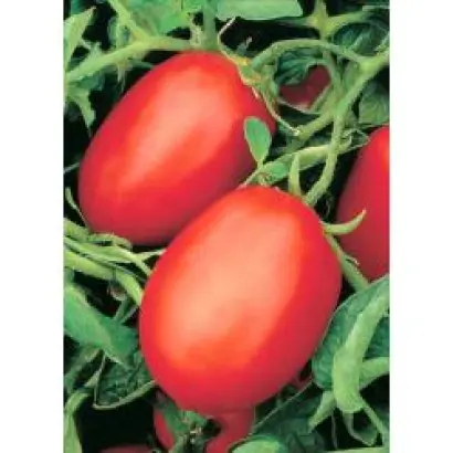 Рио Фуего Оригинальный / Rio Fuego Original