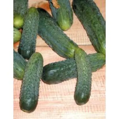 Надежда F1 / Nadeshda Mix F1