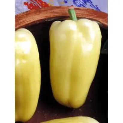 Альбатрос F1 / Albatross F1