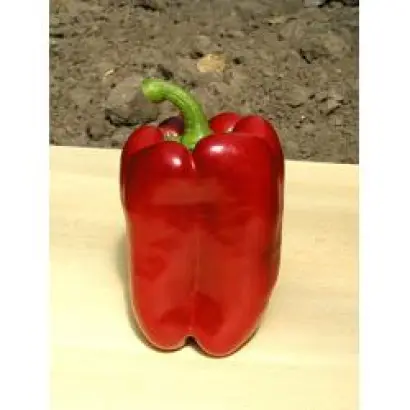 Деннис F1 / Dennis F1