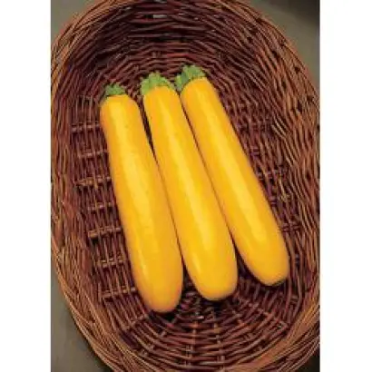 Голд Раш F1 / Goldrush F1