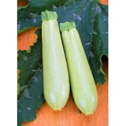 Искандер F1 / Eskanderany F1