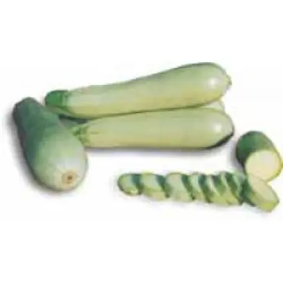 Сангрум F1 / Sungroom F1