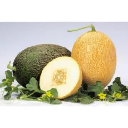 Карамель F1 / Caramel F1