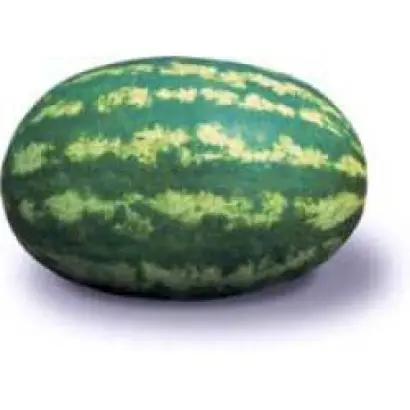 Леди F1 / Lady F1