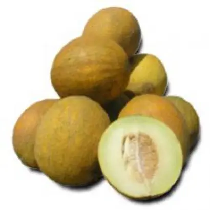 Роксолана F1 / Roxolana F1