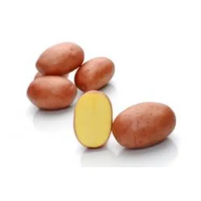 Родрига / Rodriga