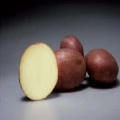 Альвара / Alwara