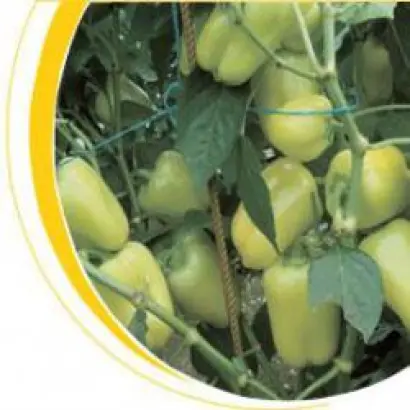 ПС 2779 F1 / PS 2779 F1