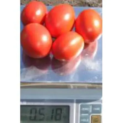 Лиона F1 / Liona F1