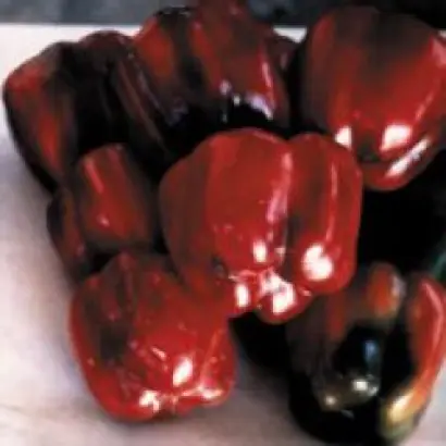 ГЕРКУЛЕС F1 / HERCULES F1