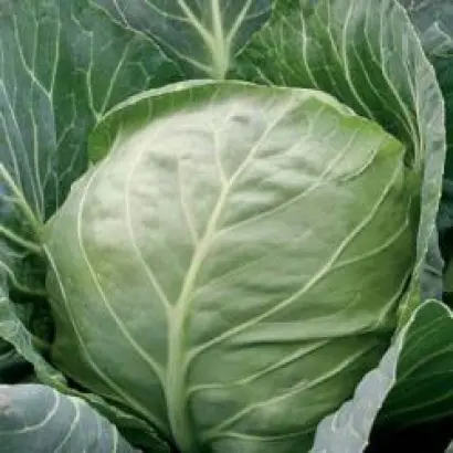 Этма РЦ F1 / Єтма РЦ F1 / Jetma RZ F1