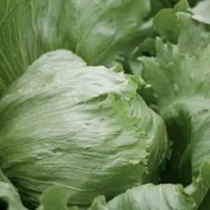 Платинас РЦ / Platinas RZ