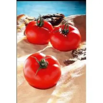 Бруклин F1 / Brooklyn F1