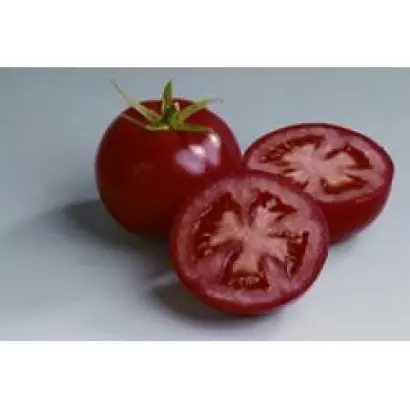 Кабинет F1 / Cabinet F1