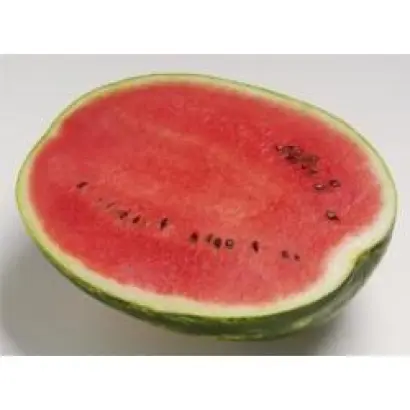 Топ Ган F1 / Top Gun F1