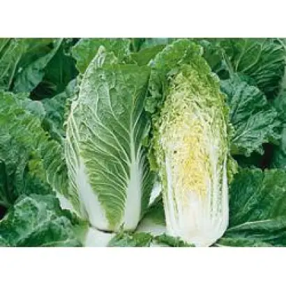 Суприн F1 / Suprin F1