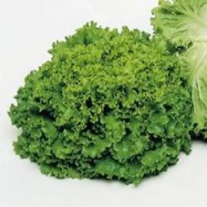 Фанли F1 / Funly F1