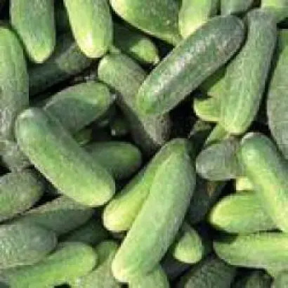 Алекс F1 / Alex F1