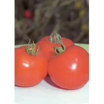 Полфаст F1 / Polfast F1