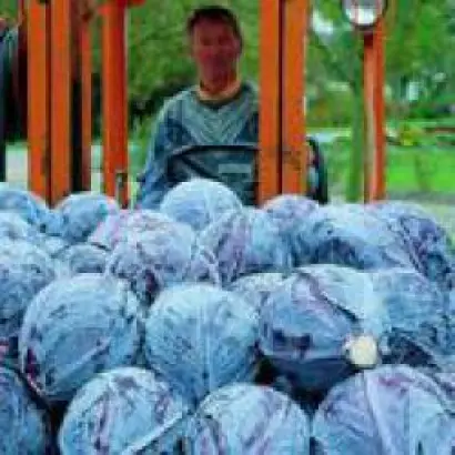 Лектро F1 / Lectro F1