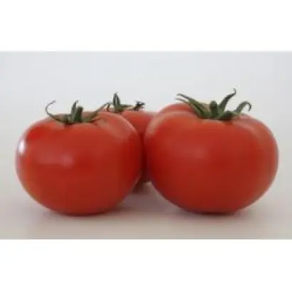 Белле F1 / Belle F1