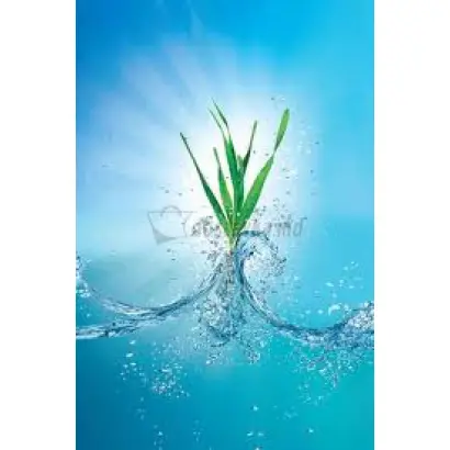 Иншур Перформ