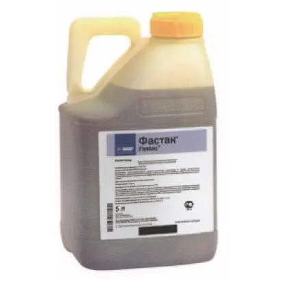 Фастак / Fastac