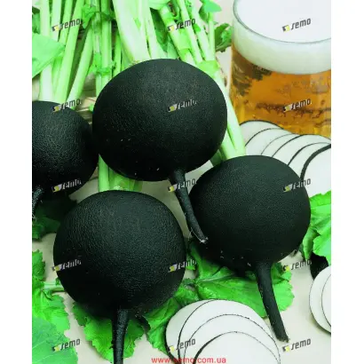 КУЛАТА / KULATA