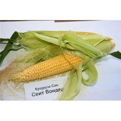 Свит Вондер F1 / Sweet Wonder F1