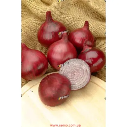 КАРМЕН / KARMEN