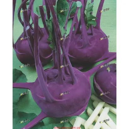 МОДРАВА F1 / MODRAVA F1