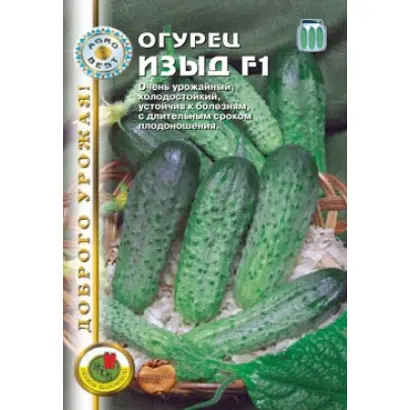 ИЗЫД F1 / IZYD F1