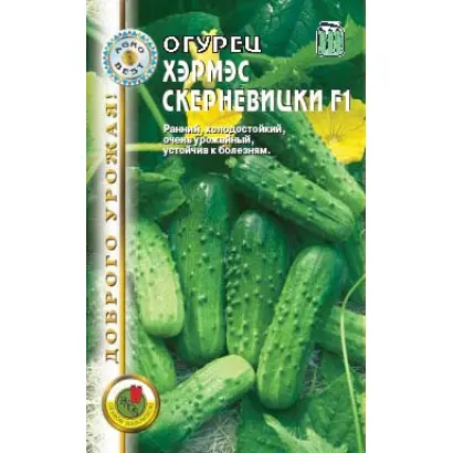 ХЭРМЭС СКЕРНЕВИЦКИ F1