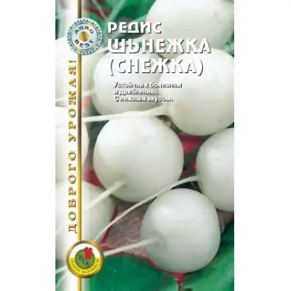 ШЬНЕЖКА (СНЕЖКА)