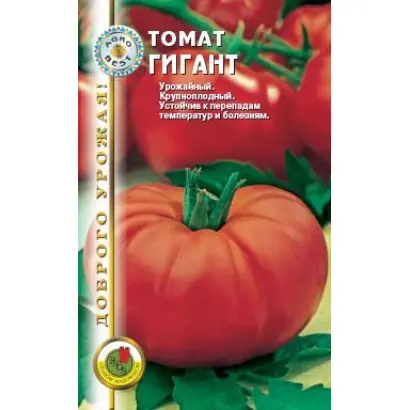 ГИГАНТ