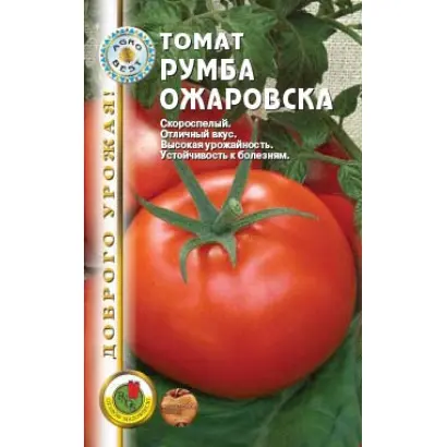 РУМБА ОЖАРОВСКА / RUMBA OZAROWSKA