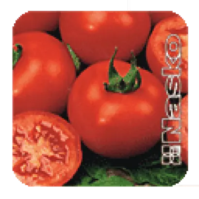 ЖАВОРОНОК F1