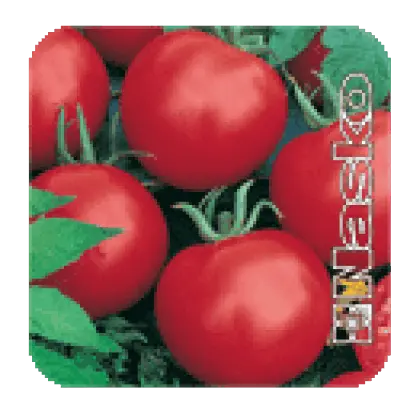 ЛИРА F1 / LIRA F1